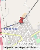 Carburanti - Produzione e Commercio Pegognaga,46020Mantova