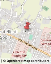 Agenti e Rappresentanti di Commercio,35136Padova