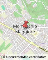 Commercialisti Montecchio Maggiore,36075Vicenza