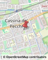 Centri di Benessere Cassina de' Pecchi,20060Milano