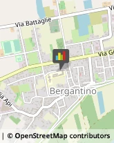 Scuole Pubbliche Bergantino,45032Rovigo