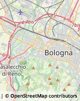 Restauratori d'Arte Bologna,40131Bologna