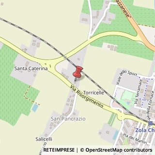 Mappa Via Risorgimento, 374, 40069 Zola Predosa, Bologna (Emilia Romagna)