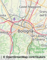 Feste - Organizzazione e Servizi Bologna,40134Bologna