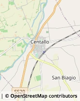 Aziende Agricole Centallo,12044Cuneo