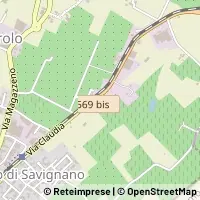 Hartă Savignano sul Panaro