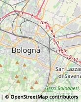 Impianti Sportivi San Lazzaro di Savena,40068Bologna