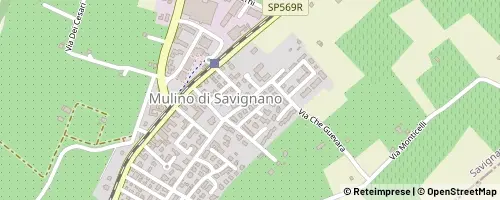 Mappa Savignano sul Panaro