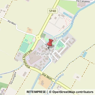 Mappa Via Mori, 6, 40054 Budrio, Bologna (Emilia Romagna)