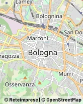 Frutta e Verdura - Dettaglio Bologna,40123Bologna