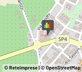 Pratiche Nautiche - Agenzie,41058Modena