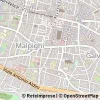 Carte Bologna