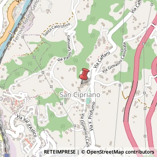 Mappa Via Pietro Dellepiane, 49, 16010 Serra Riccò, Genova (Liguria)