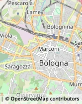 Associazioni di Volontariato e di Solidarietà Bologna,40126Bologna