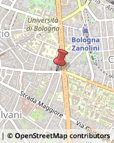 Via San Vitale, 122,40125Bologna