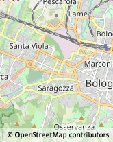 Articoli Sportivi - Dettaglio Bologna,40125Bologna