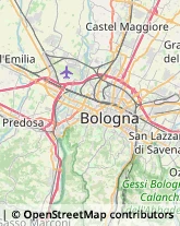 Articoli Sportivi - Dettaglio Bologna,40132Bologna