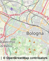 Articoli Sportivi - Dettaglio Bologna,40134Bologna