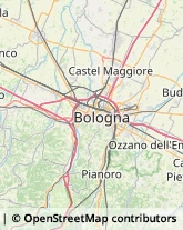 Articoli Sportivi - Dettaglio Pianoro,40065Bologna