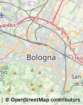 Giardinaggio - Servizio Bologna,40138Bologna