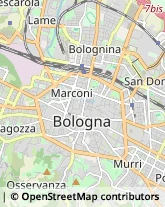 Giardinaggio - Servizio Bologna,40123Bologna