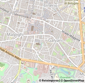 Mappa 40124 Bologna BO, Italia (0.364)