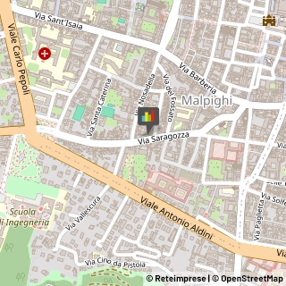 Calzature - Dettaglio,40123Bologna