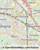 Caccia e Pesca Articoli - Dettaglio Bologna,40137Bologna