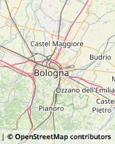 Caccia e Pesca Articoli - Dettaglio Budrio,40054Bologna