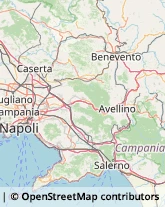 Zootecnia - Centri Riproduzione e Sperimentazione Napoli,80123Napoli