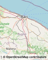 Latte e Derivati Turi,70010Bari