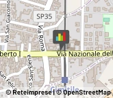 Piante e Fiori - Dettaglio Cimitile,80030Napoli