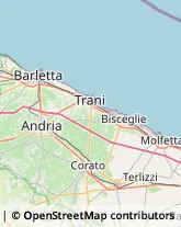 Frutta e Verdura - Dettaglio Andria,76123Barletta-Andria-Trani