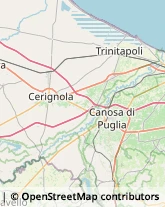 Articoli da Regalo - Dettaglio Canosa di Puglia,70053Barletta-Andria-Trani