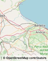 Articoli da Regalo - Dettaglio Canosa di Puglia,70031Barletta-Andria-Trani