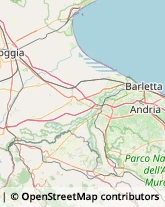 Autofficine e Centri Assistenza San Ferdinando di Puglia,76017Barletta-Andria-Trani