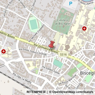 Mappa Via Giovanni Bovio, 231, 76011 Bisceglie, Barletta-Andria-Trani (Puglia)