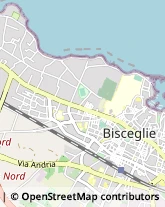 Notai Bisceglie,76011Barletta-Andria-Trani