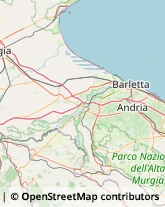 Articoli Sportivi - Dettaglio Canosa di Puglia,76012Barletta-Andria-Trani