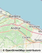 Ottica, Occhiali e Lenti a Contatto - Dettaglio Andria,76123Barletta-Andria-Trani