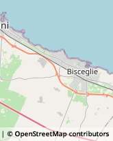 Aziende Agricole Bisceglie,76011Barletta-Andria-Trani