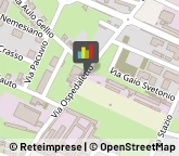 Cristalli e Vetri per Veicoli - Riparazione e Sostituzione Andria,76123Barletta-Andria-Trani