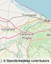 Parrucchieri Cerignola,71042Foggia