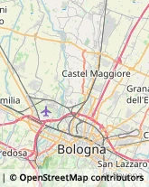 Trasporti Eccezionali Zola Predosa,40069Bologna