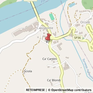 Mappa Strada Provinciale Confine Massese, 55, 43028 Capoponte PR, Italia, 43028 Tizzano Val Parma, Parma (Emilia Romagna)