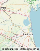 Alimentari, Vini, Bevande e Dolciari - Agenti e Rappresentanti Alfonsine,48011Ravenna