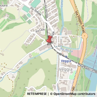Mappa Via Rio Rocca, 1, 42013 Casalgrande, Reggio nell'Emilia (Emilia Romagna)