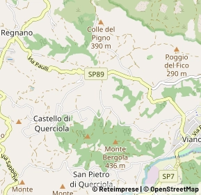 Mappa Via Campasso, 42030 Viano RE, Italia (1.41923)