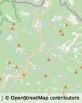 Aziende Agricole Fontanigorda,16023Genova