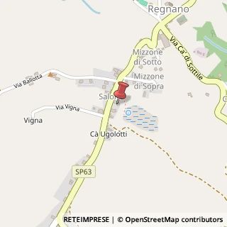 Mappa Via Salone, 4, 42030 Viano, Reggio nell'Emilia (Emilia Romagna)